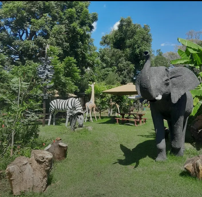 Life-size zebra, giraffe and elephant sculptures on the lawn among picnic tables